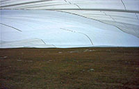 The field under the cover